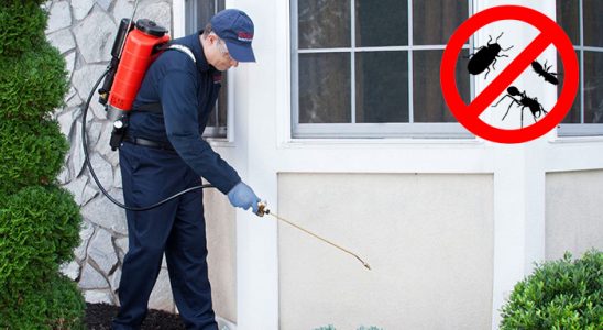 Adaklı Hamam Böceği İlaçlama böcek ilaçlama ve haşere kontrolü — ilaclama-tr.com